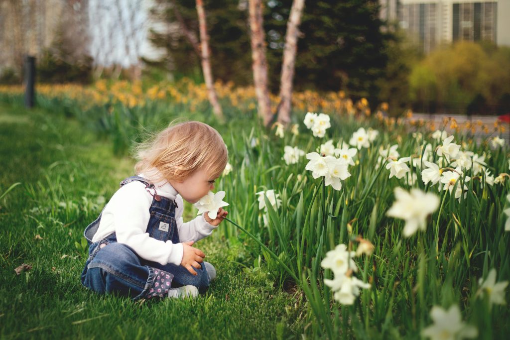 Attractions for children in Masuria